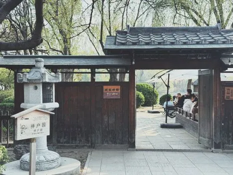 Teahouse culture