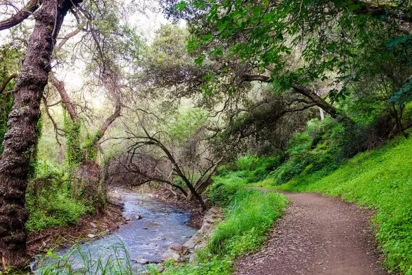 Alum Rock Park