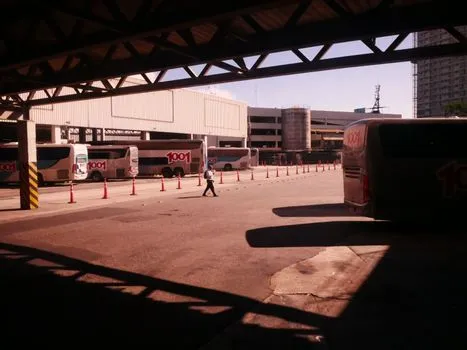 Buses