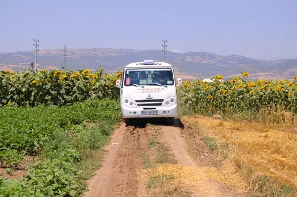 Dolmuş