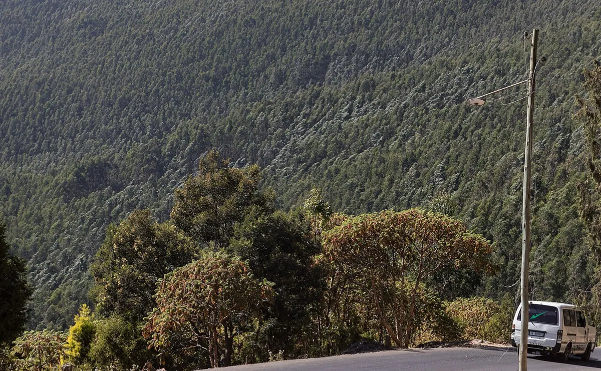 Entoto Hills