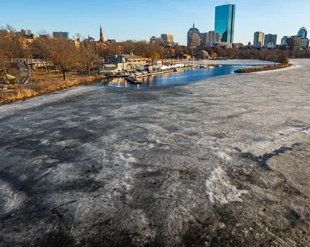 Harvard and MIT