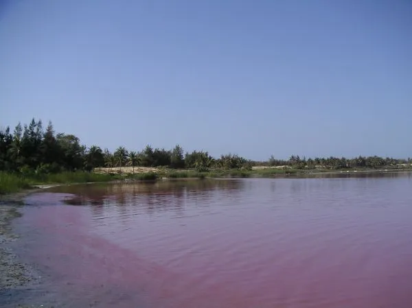 Lac Rose