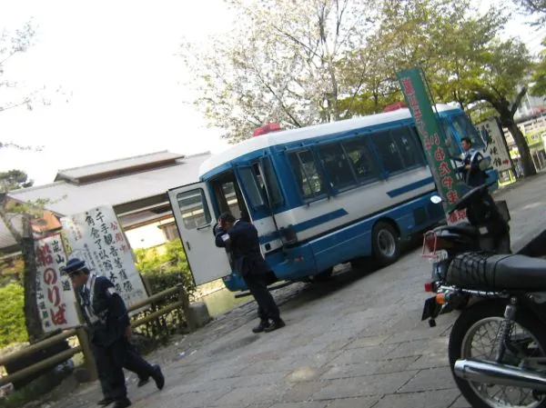 Buses