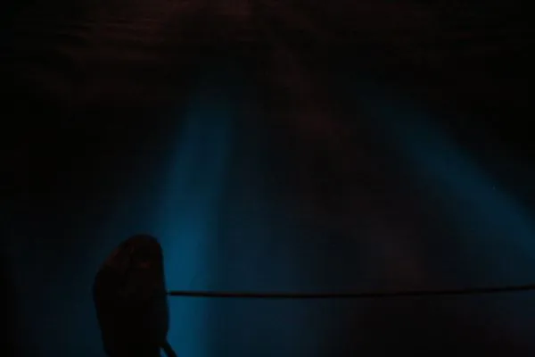 Bioluminescent bays