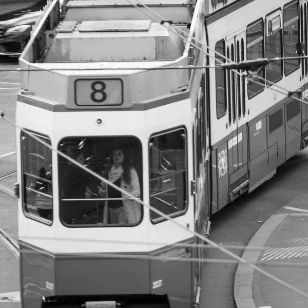 Trams