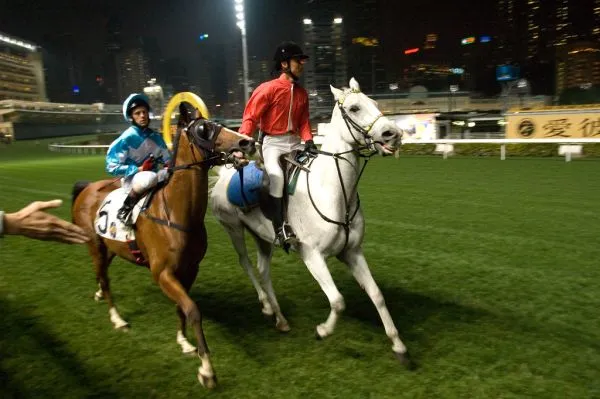 Horse racing at Happy Valley