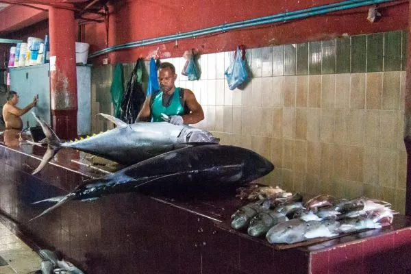 Malé Fish Market