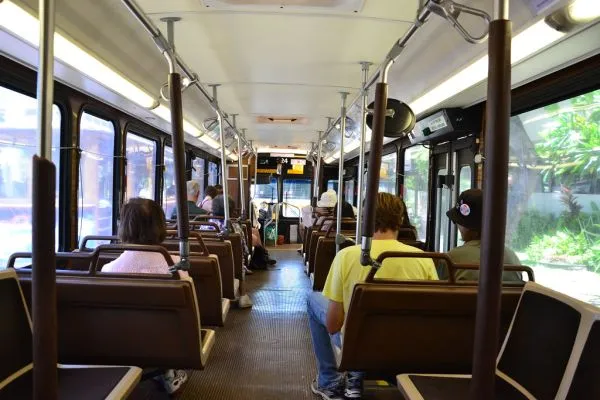TheBus