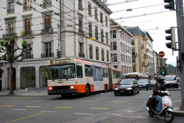 Trams and buses