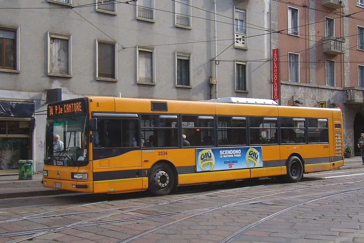 Buses