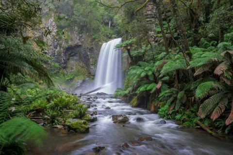 Victoria Falls rainforest, Victoria Falls