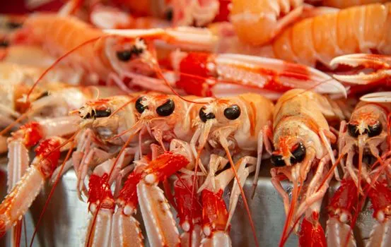 Seafood on the Atlantic
