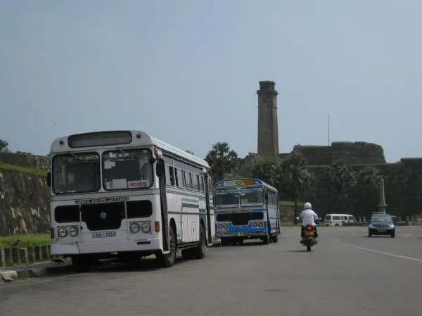 Local buses
